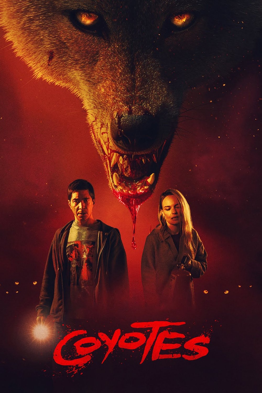 Coyotes